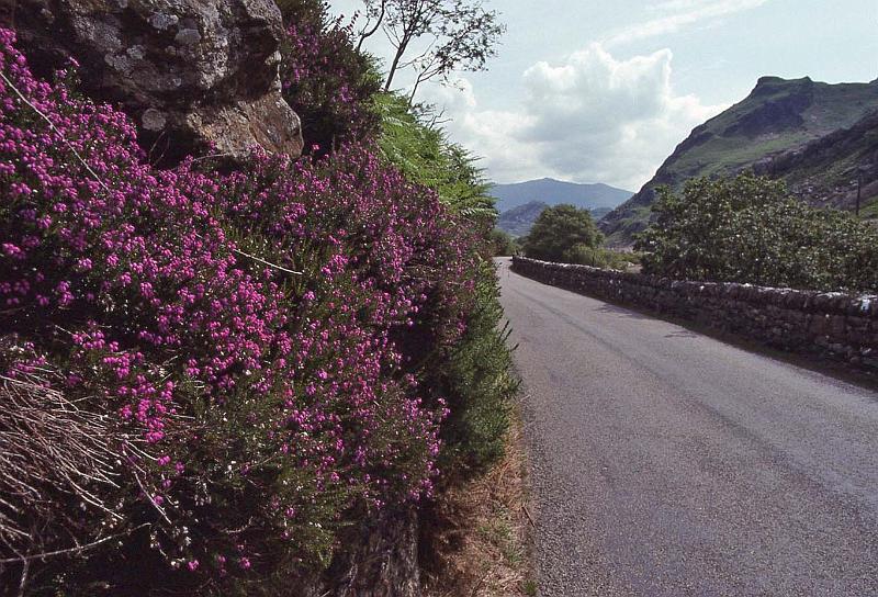 WT 2700 337-18 UK 1992-1.jpg